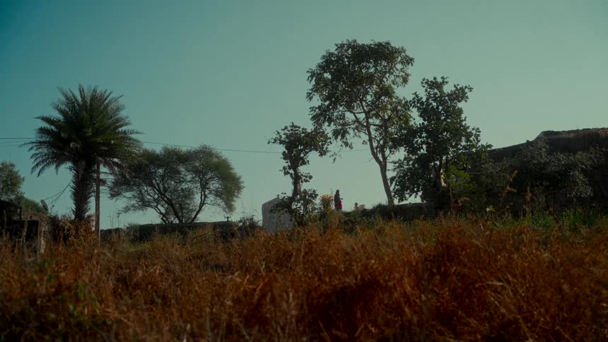 A tranquil, wide shot of a woman in a sari walking along a hilltop in a rural village, with dry grass swaying in the foreground