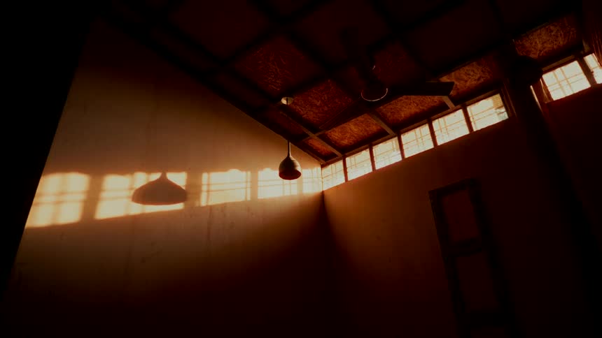 Warm sunlight casts moving shadows on the wall of a dark, moody room with high windows