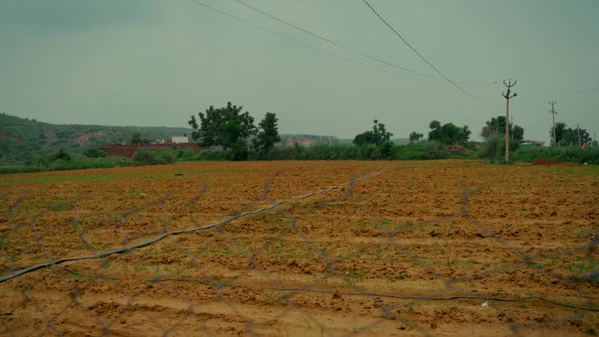 View of a vast, newly seeded farm field with sprouting crops through a wire fence on a gloomy, overcast day