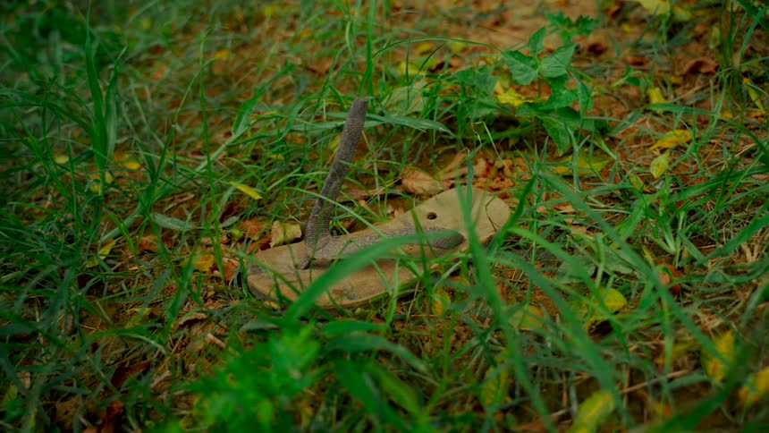 A close-up shot of a traditional Indian wooden footwear, known as a Khadau or Paduka, lying in the green grass