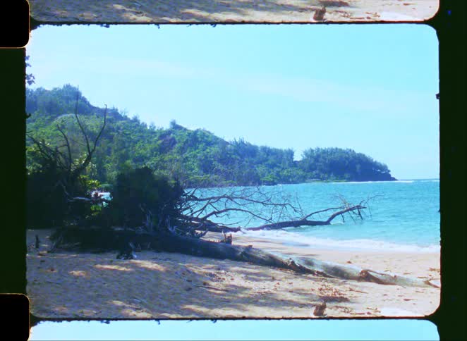 Vintage Super 8 footage captures a serene, tropical beach scene with fallen driftwood on the sand