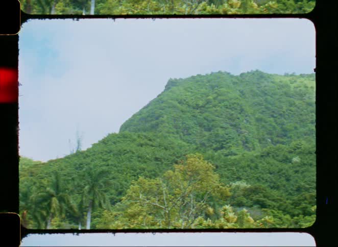 A vintage film pan across a lush tropical jungle with palm trees and a verdant mountain under a blue sky