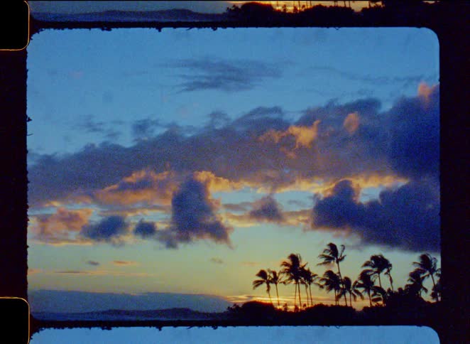 Archival footage shows silhouetted palm trees swaying against a beautiful cloudy sky at sunset