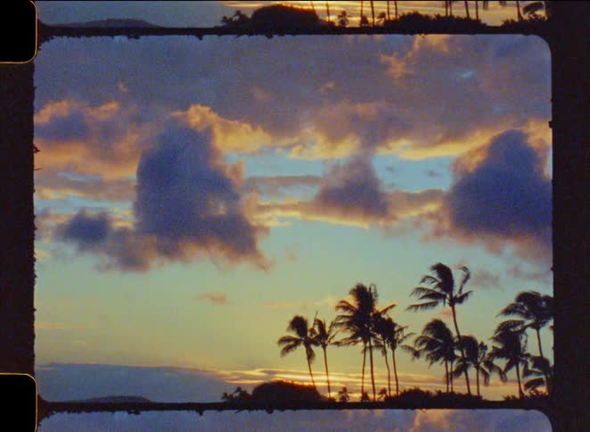 A vintage film captures silhouetted palm trees swaying gently against a beautiful, cloudy sunset sky