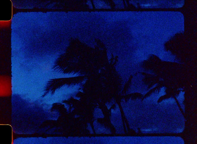 A vintage 8mm shot of silhouetted palm trees swaying in the wind against a stormy blue night sky with a film burn transition