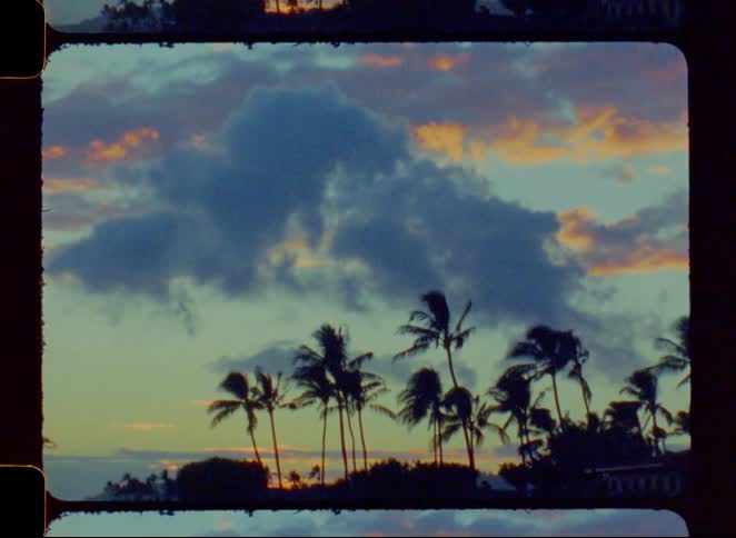 Vintage film footage pans up from the ocean waves to silhouetted palm trees blowing in the wind against a colorful sunset sky