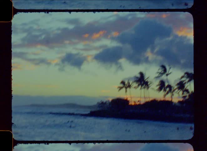 Vintage film captures a tropical sunset over the ocean with silhouetted palm trees and surfers waiting for waves
