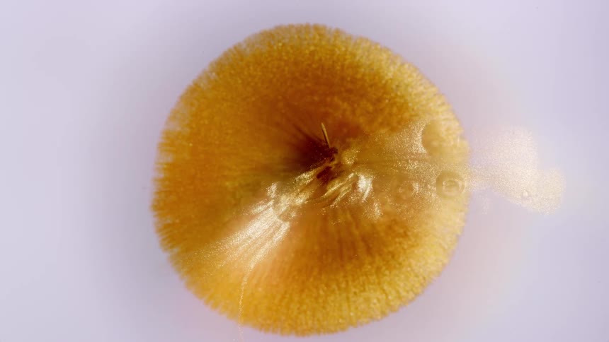 Mesmerizing top-down macro shot of a golden liquid spreading across a textured circular object on a white background