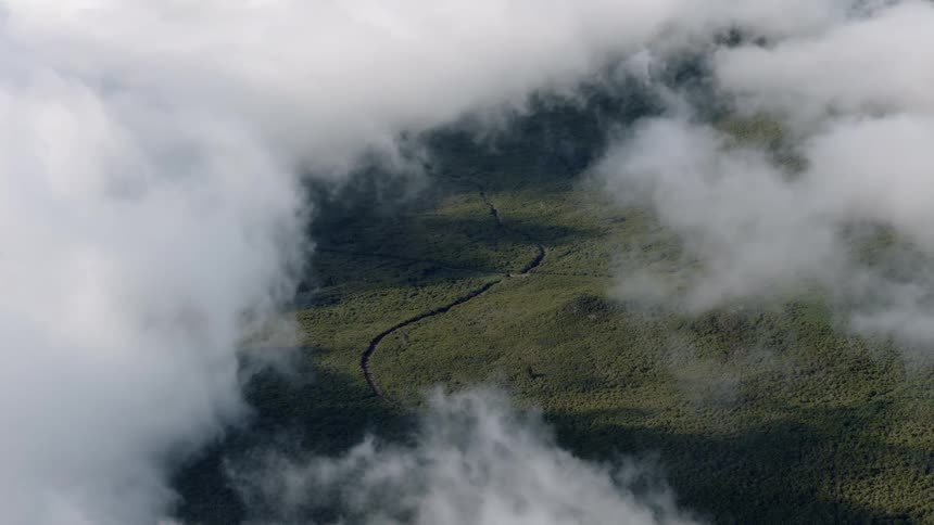 A static aerial view peers through a break in the clouds, revealing a winding road cutting through a vast, green forest below
