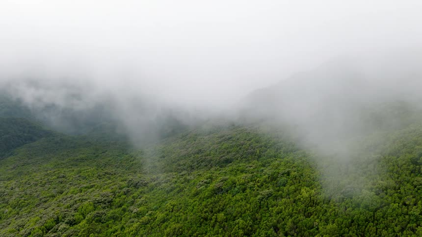 A static aerial view shows thick white clouds slowly rolling over a vibrant green mountain forest