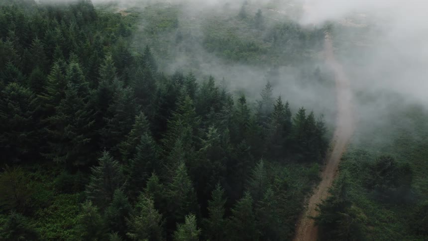 A moody aerial shot captures clouds drifting over a dark green pine forest with a lonely trail