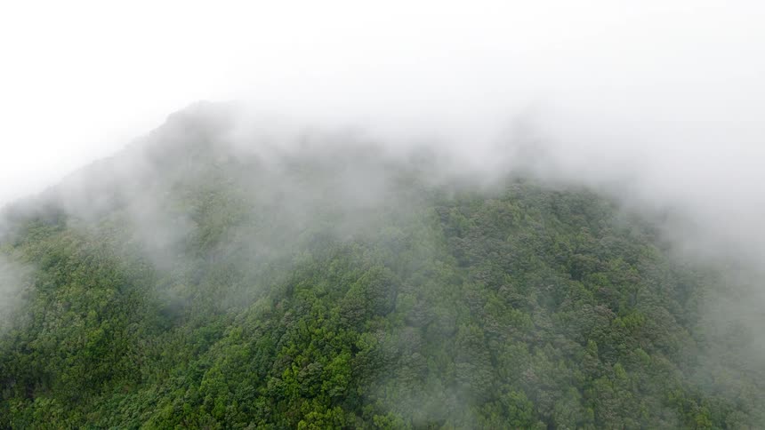 Atmospheric aerial shot of thick clouds and fog slowly enveloping a lush, forested mountain