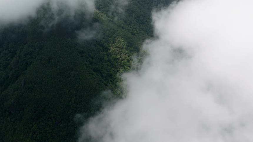A serene aerial perspective from above slowly moving clouds reveals a lush green forested mountain