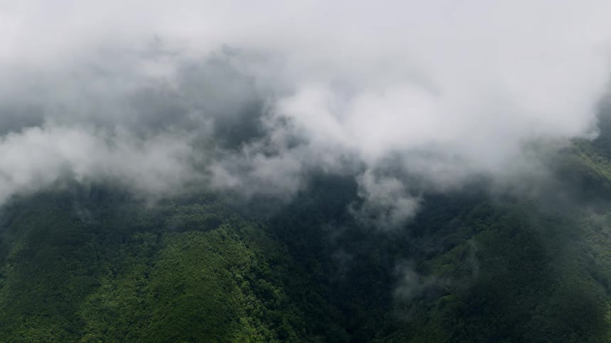 Misty clouds drift slowly over the peaks of a dense, green mountain forest as the camera pulls back