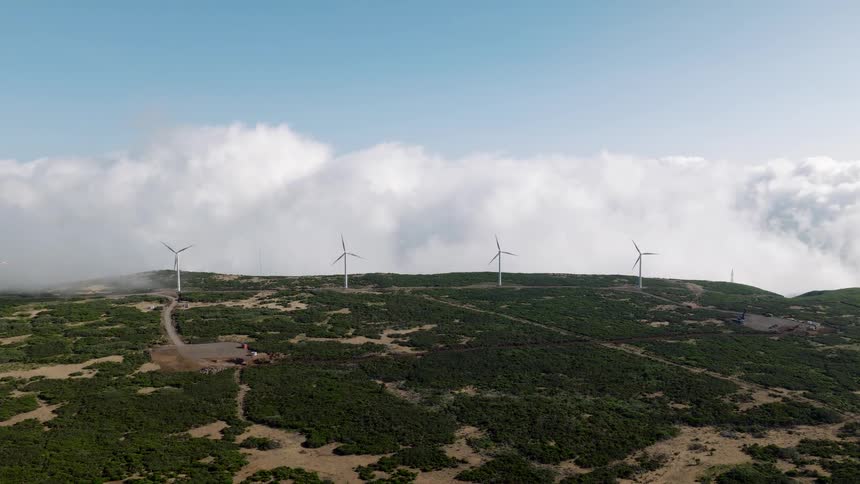 Wind turbines generate renewable energy on a verdant mountaintop high above a sea of clouds