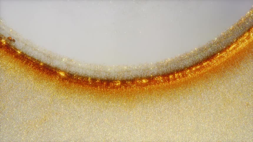 Shimmering gold and bronze particles create a slowly moving abstract arc against a white background