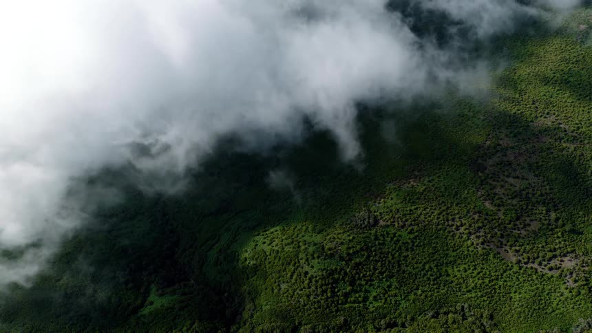 A serene aerial view looking down through slow-moving white clouds onto a vast, lush green forest covering the mountains below