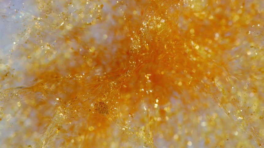 Mesmerizing macro shot of shimmering golden glitter swirling slowly in a viscous liquid