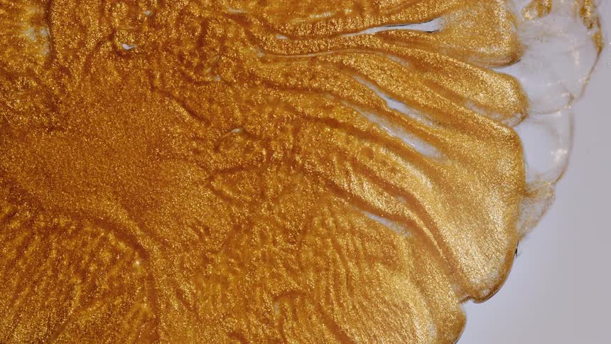 A shimmering gold liquid slowly spreads across a white surface, creating intricate, flowing patterns
