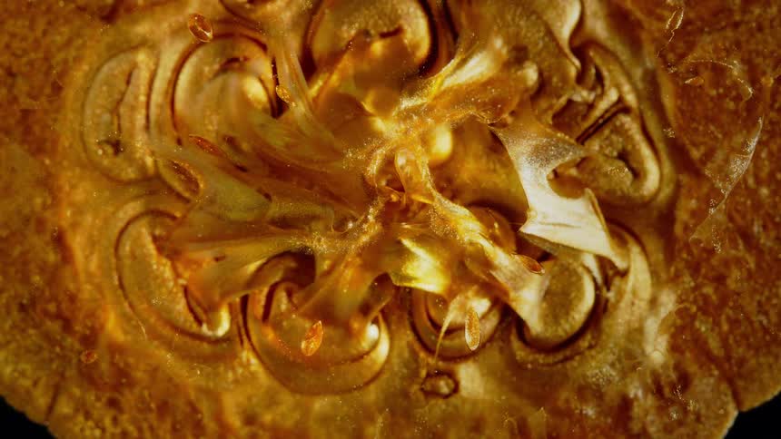 Golden glitter particles swirl and shimmer inside the intricate, abstract macro view of a pumpkin's core