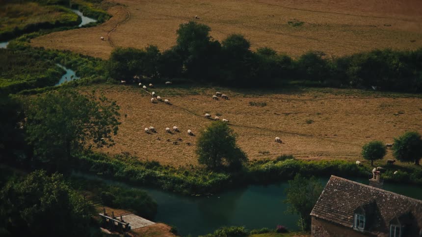 A high-angle, scenic view of a flock of sheep grazing and walking through an idyllic countryside pasture alongside a winding river and a stone house