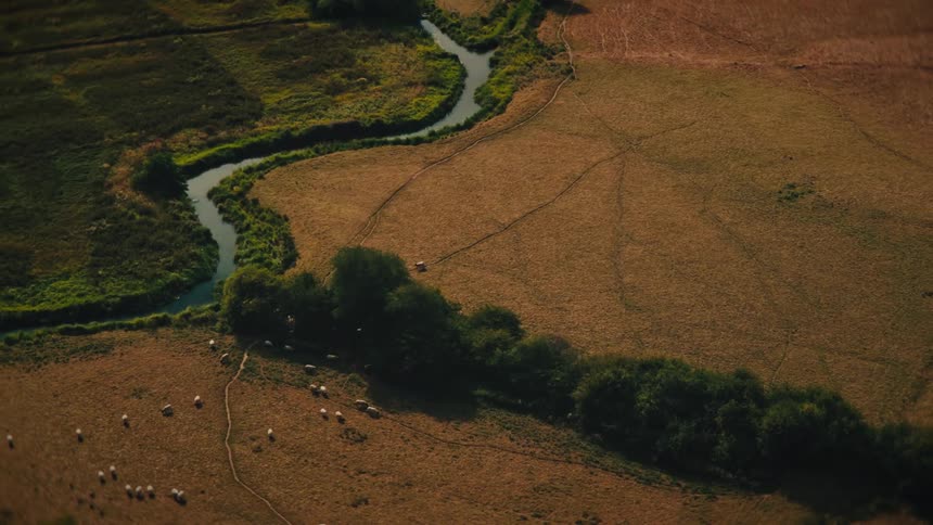 An aerial top-down shot of sheep walking in a single file line zooms out to reveal a beautiful English countryside landscape with a winding river and a quaint village
