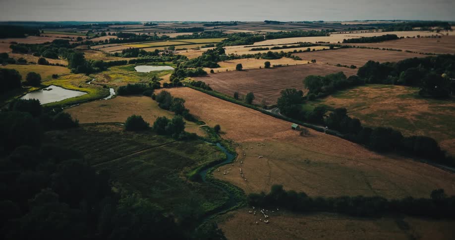 A slow, cinematic aerial shot pushing in over a tranquil countryside with rolling fields, a winding river, and a flock of grazing sheep