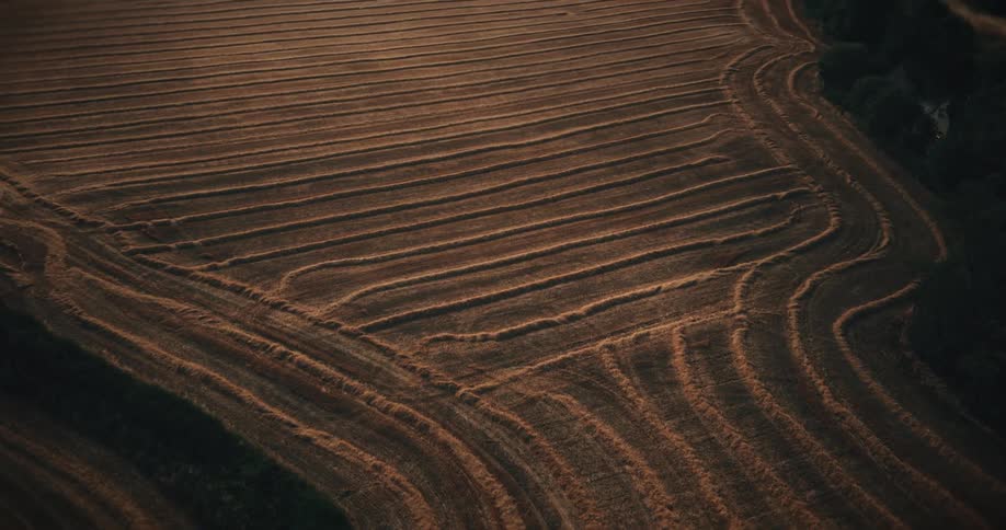 A slow aerial pan reveals the intricate patterns of a freshly harvested field with golden rows of hay glowing in the warm sunset light