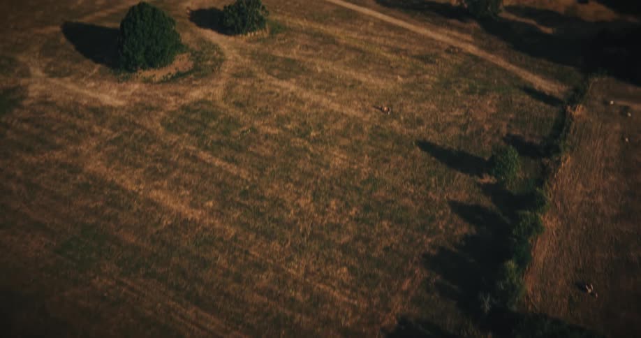 A slow aerial ascent over a dry summer field reveals a stunning historic castle and its elegant manicured gardens