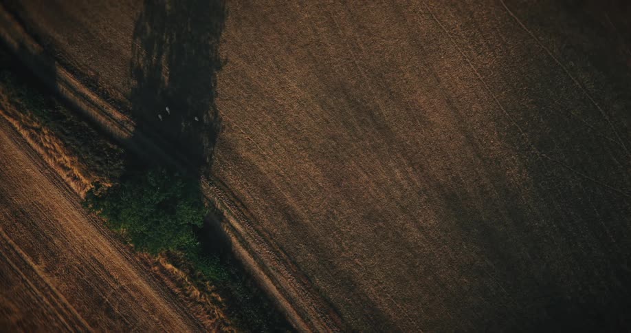 An abstract top-down aerial shot slowly moves across a vast, harvested grain field, revealing textures, machinery tracks, and a solitary patch of green trees