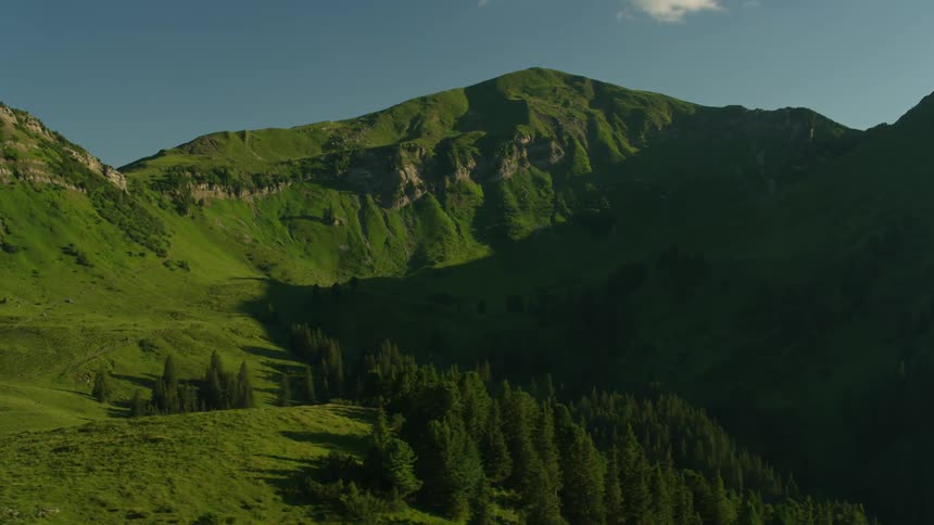 Woods in a valley on a clear day