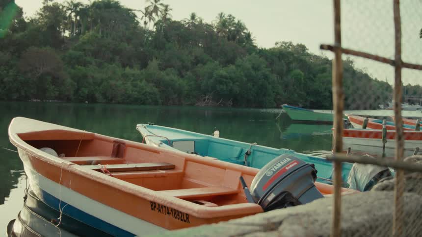 Colorful motorboats are moored at a dock on a calm tropical river
