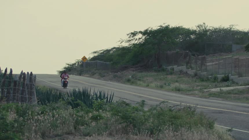 A couple on a moped drives down a rural road surrounded by lush green foliage