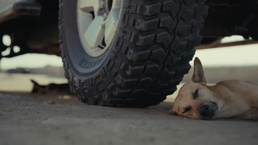 A tan-colored dog peacefully slumbers on the ground, finding shade and rest next to the massive tire of an off-road vehicle