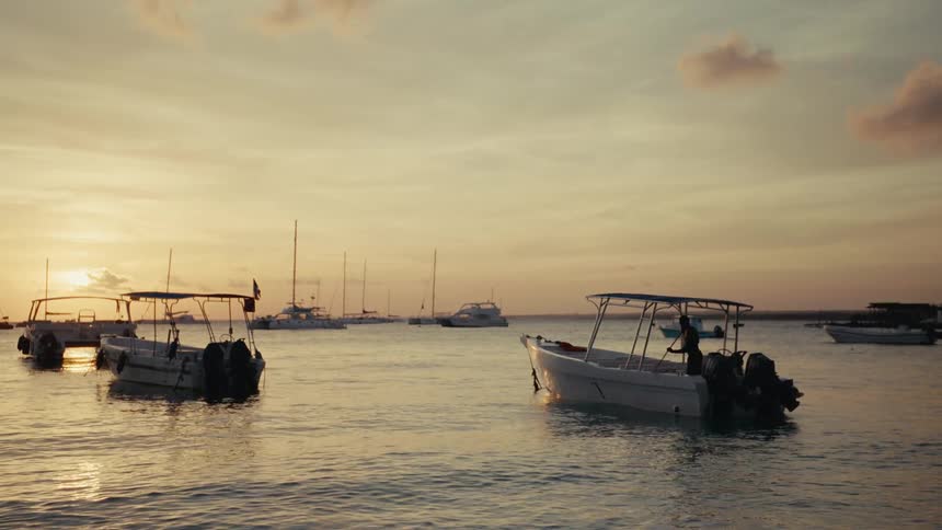 A tranquil marina with boats and yachts floating on the calm ocean during a beautiful golden hour sunset