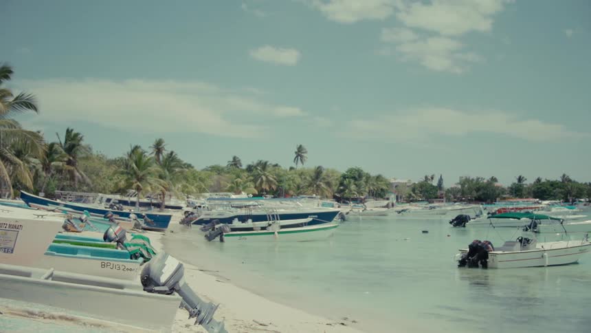 A slow pan reveals motorboats beached and moored in a calm tropical harbor with palm trees