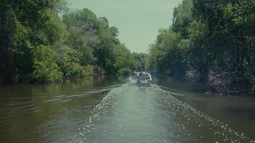 A small motorboat with passengers navigates a narrow river channel surrounded by a dense tropical mangrove forest