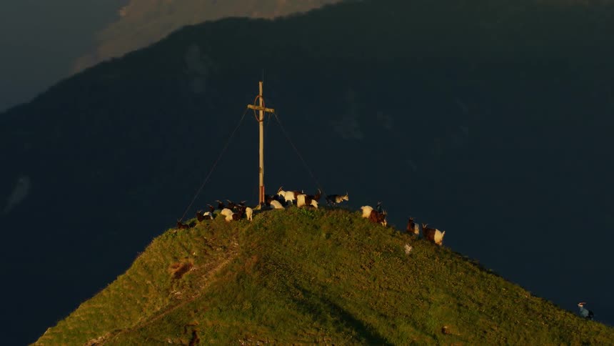 A giant cross with goats around it are on the mountain