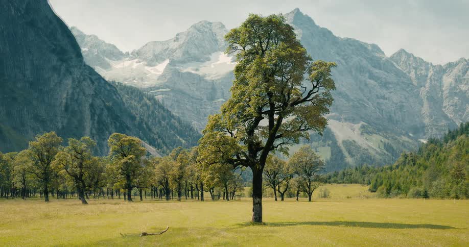 A stunning time-lapse of a scenic mountain valley transitioning from the lush greens of summer to the golden colors of autumn