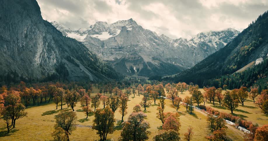 A stunning time-lapse captures the seasonal change from summer to fall in a majestic alpine valley with maple trees