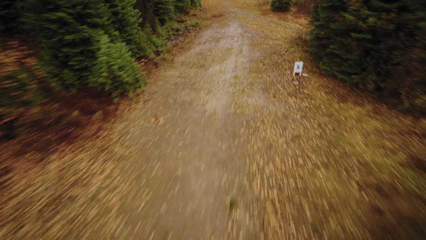 A dynamic aerial shot dives through the treetops to reveal a group of people practicing at a remote shooting range in an autumn forest