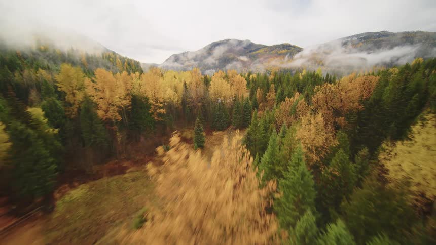 An aerial view reveals a stunning autumn landscape of colorful trees and misty mountains in a remote forest valley