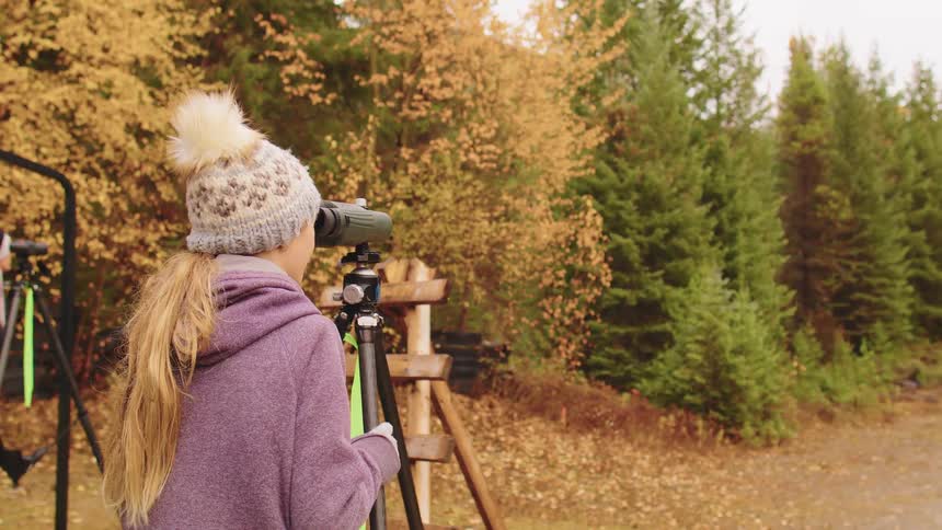 A young girl wearing a winter hat uses a spotting scope on a tripod to observe wildlife in an autumn forest