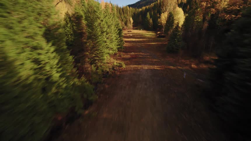 An exhilarating FPV drone flight descends from the treetops, racing through a sunlit mountain valley surrounded by a vibrant autumn forest