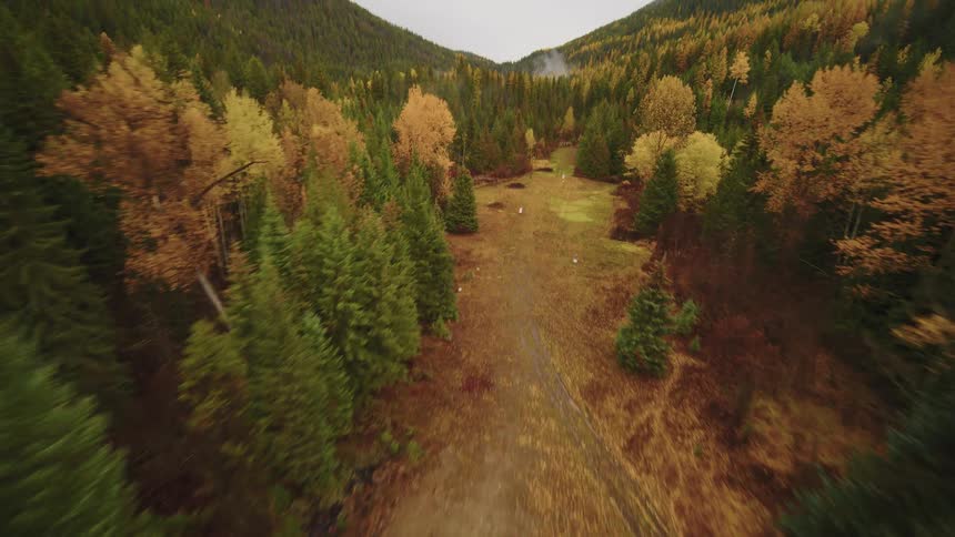 An aerial view flies over a vibrant autumn forest and down a valley path towards misty mountains