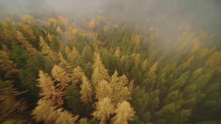Aerial view flying through the clouds over a colorful autumn forest in a mountain valley
