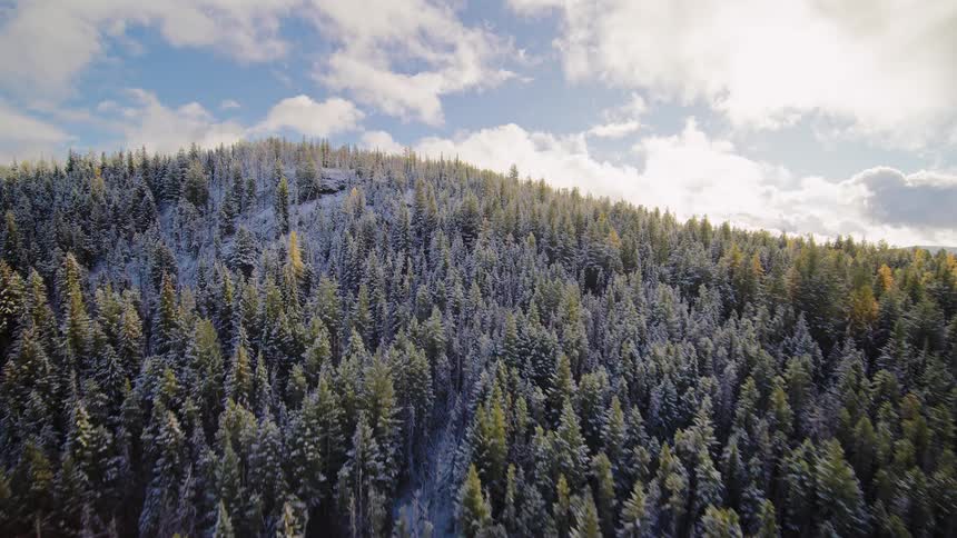 An epic aerial drone shot ascends over a vast mountain forest where a fresh dusting of snow covers the autumn landscape