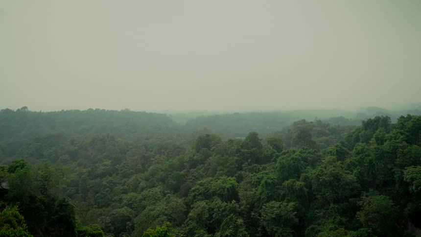 A vast green jungle canopy stretches across rolling hills, disappearing into the distant haze