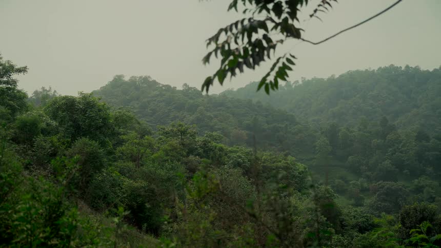 A static wide shot captures the serene, misty landscape of a dense green forest covering rolling hills