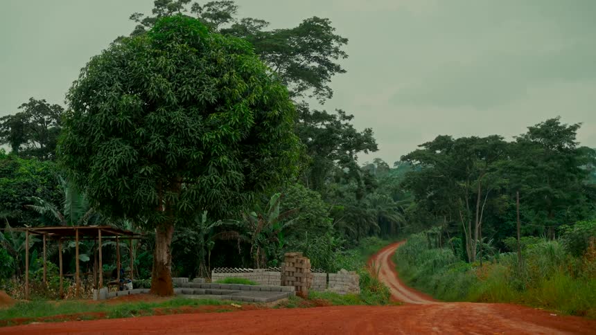 A winding red dirt road disappears into the lush green jungle in a remote, rural village